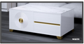 ALEXA CT02 COFFEE TABLE
